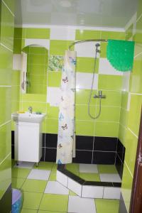 a bathroom with a shower and a sink at Імобільяре in Khorostkiv