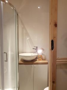 een badkamer met een wastafel en een glazen douche bij Waterside Shepherds Hut in York