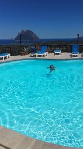 a dolphin swimming in a large swimming pool at Appartamenti Sardegna in Porto San Paolo