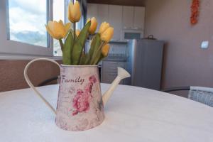 Kuchyň nebo kuchyňský kout v ubytování Apartmani Jazz Aleksandra
