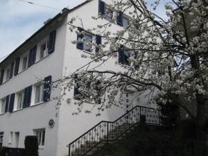 a white building with blue windows and a tree at Gästehaus Kaiser in Ostfildern