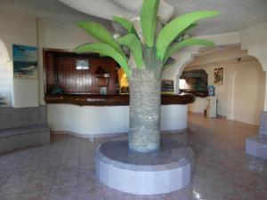 Vstupní hala nebo recepce v ubytování Costa Miramar