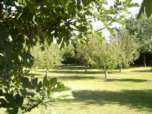 Zahrada ubytování Gite La Gourmandine