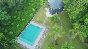 an overhead view of a swimming pool in a garden at The Country House Chalets in Galle