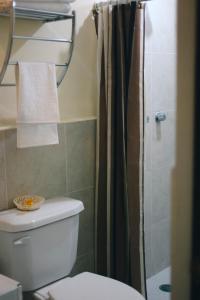 a bathroom with a toilet and a shower at Hotel Maya Becan in Campeche