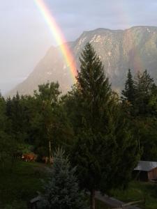 Príroda v okolí apartmánu