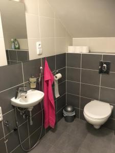 y baño con aseo y lavamanos. en Apartments Šimákova Vila, en Turnov