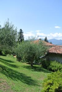 Příroda nedaleko bed and breakfast
