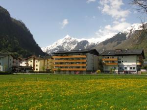 a building in a field with mountains in the background at Apartmán Josef in Kaprun