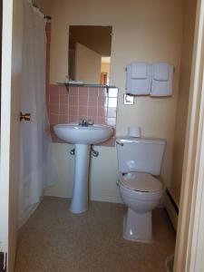 La salle de bains est pourvue de toilettes blanches et d'un lavabo. dans l'établissement Beaver Hotel, à North Battleford