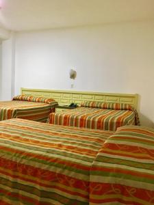Hotel del Valle tesisinde bir odada yatak veya yataklar