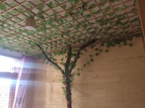 Imagen de la galería de Yangjiajie Inn, en Zhangjiajie