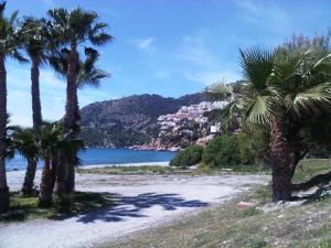 a beach with palm trees and a body of water at Pension los Verdiales in La Herradura