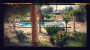 The swimming pool at or close to La Toscana