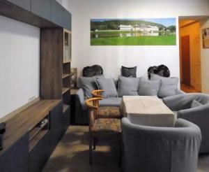 德勒斯登的住宿－德累斯頓畢盛旅館，带沙发和电视的客厅