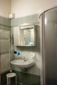 La salle de bains est pourvue d'un lavabo, d'un miroir et d'une douche. dans l'établissement Albergo Ristorante Alle Codole, à Canale dʼAgordo