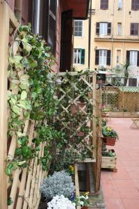 a garden with a wooden fence with plants at Il B&B della Mamma in Rome