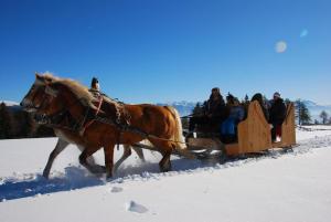 Ein Pferd zieht einen Schlitten voller Leute im Schnee in der Unterkunft Oberfahrerhof in Jenesien