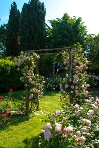 A garden outside Tenuta di Santa Lucia