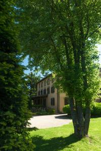 a tree in the grass in front of a building at Tenuta di Santa Lucia in Soriano nel Cimino