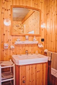 a bathroom with a sink and a mirror at La Crestolina in Ala di Stura