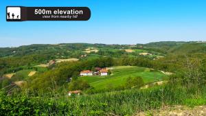 une maison sur une colline dans un champ verdoyant dans l'établissement Eco Farm Milanovic, à Despotovac