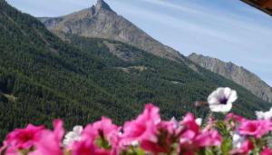 Widok na góry z tego aparthotelu