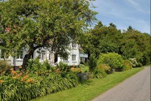 a white house with a tree and some flowers at Feriestedet Skovly in Klemensker
