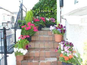 Una escalera con macetas de flores. en The Manhattan, en Blackpool