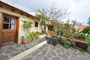 a house with a bunch of potted plants and a door at La Casa de Mis Padres in El Pinar del Hierro