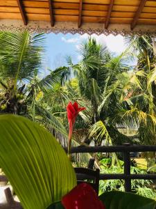 una flor roja en una habitación con palmeras en Neli guests house, en Unawatuna