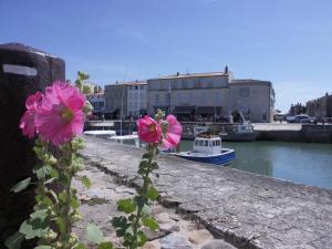Due fiori rosa crescono su un muro vicino all'acqua di Maison Santoline a Saint-Martin-de-Ré