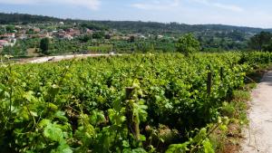 Fotografie z fotogalerie ubytování Quinta da Serrana v destinaci Ourém