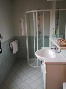ein Bad mit einer Dusche und einem Waschbecken in der Unterkunft Ferme des Capellous in Florentin-la-Capelle