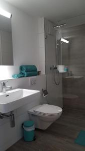 a bathroom with a sink and a toilet and a shower at Lake View Private Studio in Richterswil