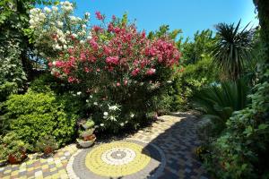 アドレルにあるミラーナ ゲスト ハウスのピンクと白の花々が咲き誇る庭園