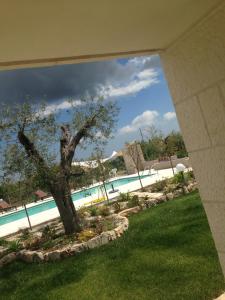 a swimming pool with a tree in the yard at Casolare di Pozzomasiello in Locorotondo