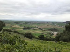 Príroda v okolí vily