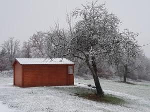 un pequeño cobertizo con nieve junto a un árbol en L'Evidence en La Chapelle-Aubareil