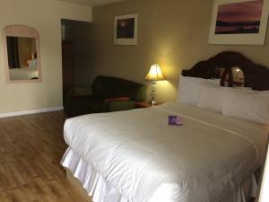 Postel nebo postele na pokoji v ubytování Nice Inn Edmonton
