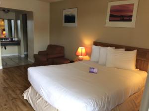 Postel nebo postele na pokoji v ubytování Nice Inn Edmonton
