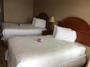 Postel nebo postele na pokoji v ubytování Nice Inn Edmonton