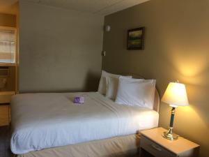 Postel nebo postele na pokoji v ubytování Nice Inn Edmonton