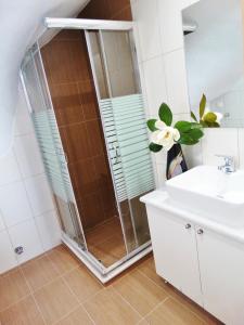 a bathroom with a shower and a sink at Ismini Cozy Rooms in Kavala