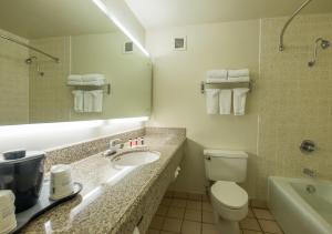 a bathroom with a sink and a toilet and a mirror at Howard Johnson by Wyndham Fullerton/Anaheim Conference Cntr in Fullerton