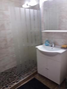 トゥルダにあるGarsoniera MARIAの白いバスルーム(シンク、シャワー付)