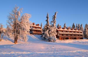 una gran cabaña de madera en la nieve con árboles en Nordseter Apartments, en Lillehammer