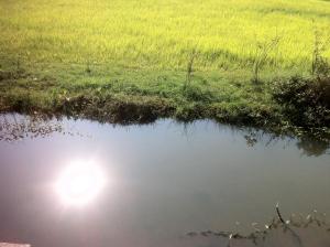 Paesaggio naturale nelle vicinanze della stanza in casa privata