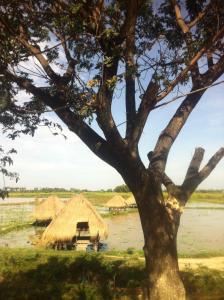 Paesaggio naturale nelle vicinanze della stanza in casa privata