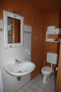a bathroom with a sink and a toilet at Ferienhaus 3 Köhr-Eickhoff in Lembruch +7 photos